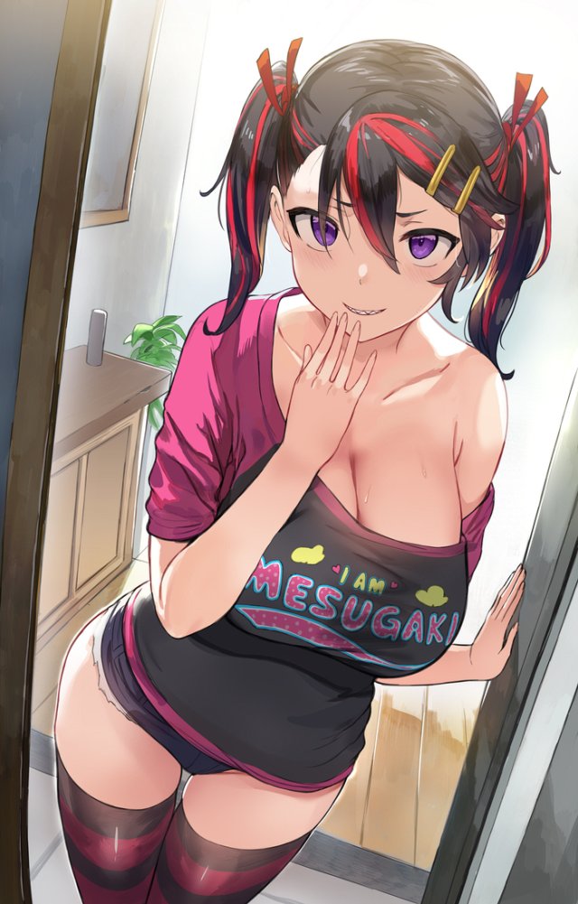 【二次】ツートンカラー・二色髪女子画像